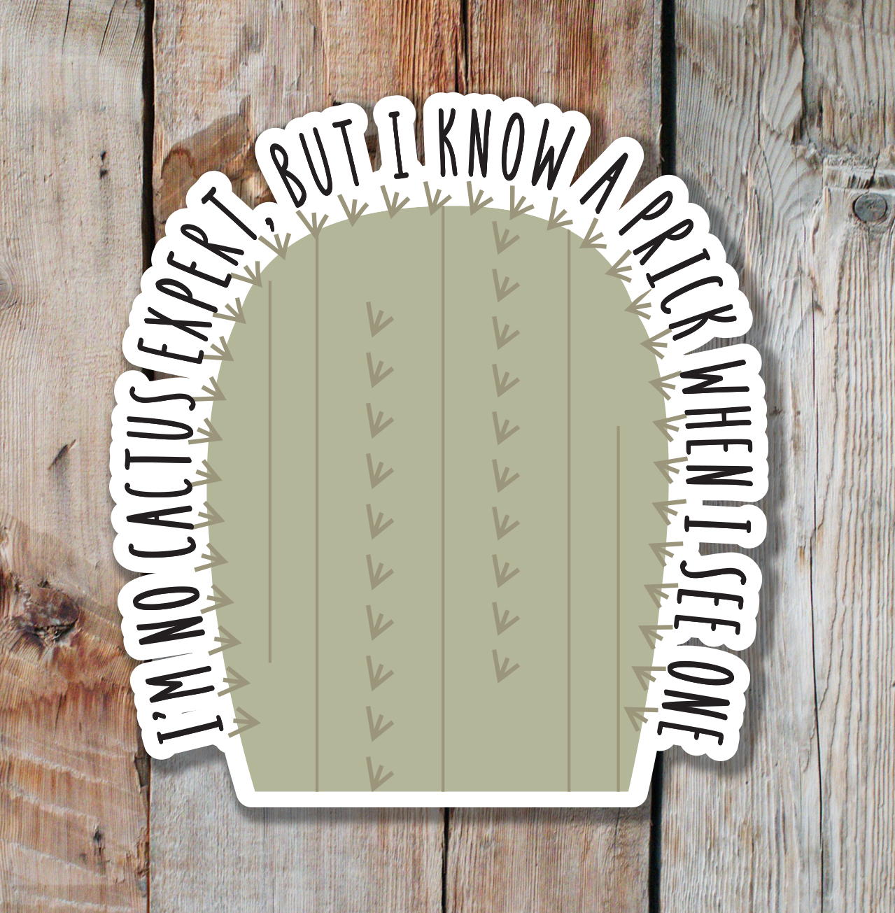 I'm No Cactus Expert, But I Know a Prick When I See One Cactus Sticker | Cactus Sticker | Prickly Sticker