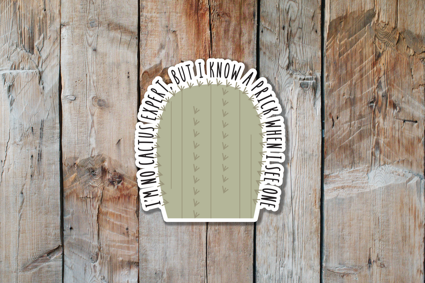 I'm No Cactus Expert, But I Know a Prick When I See One Cactus Sticker | Cactus Sticker | Prickly Sticker