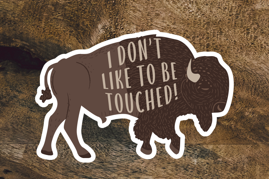 Bison Sticker | I don't like to be touched Bison Sticker | I don't like to be touched Buffalo Sticker
