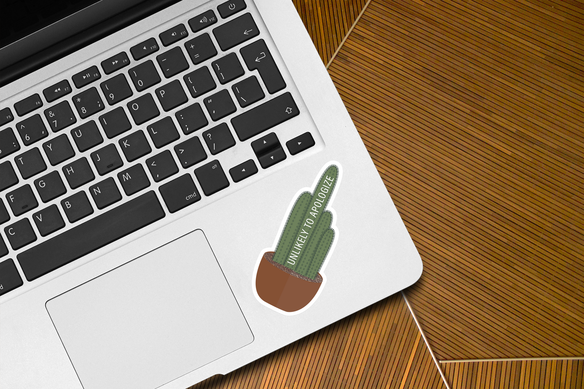 Unlikely to Apologize Cactus Sticker | Cactus Sticker | Succulent Sticker | House Plant Sticker