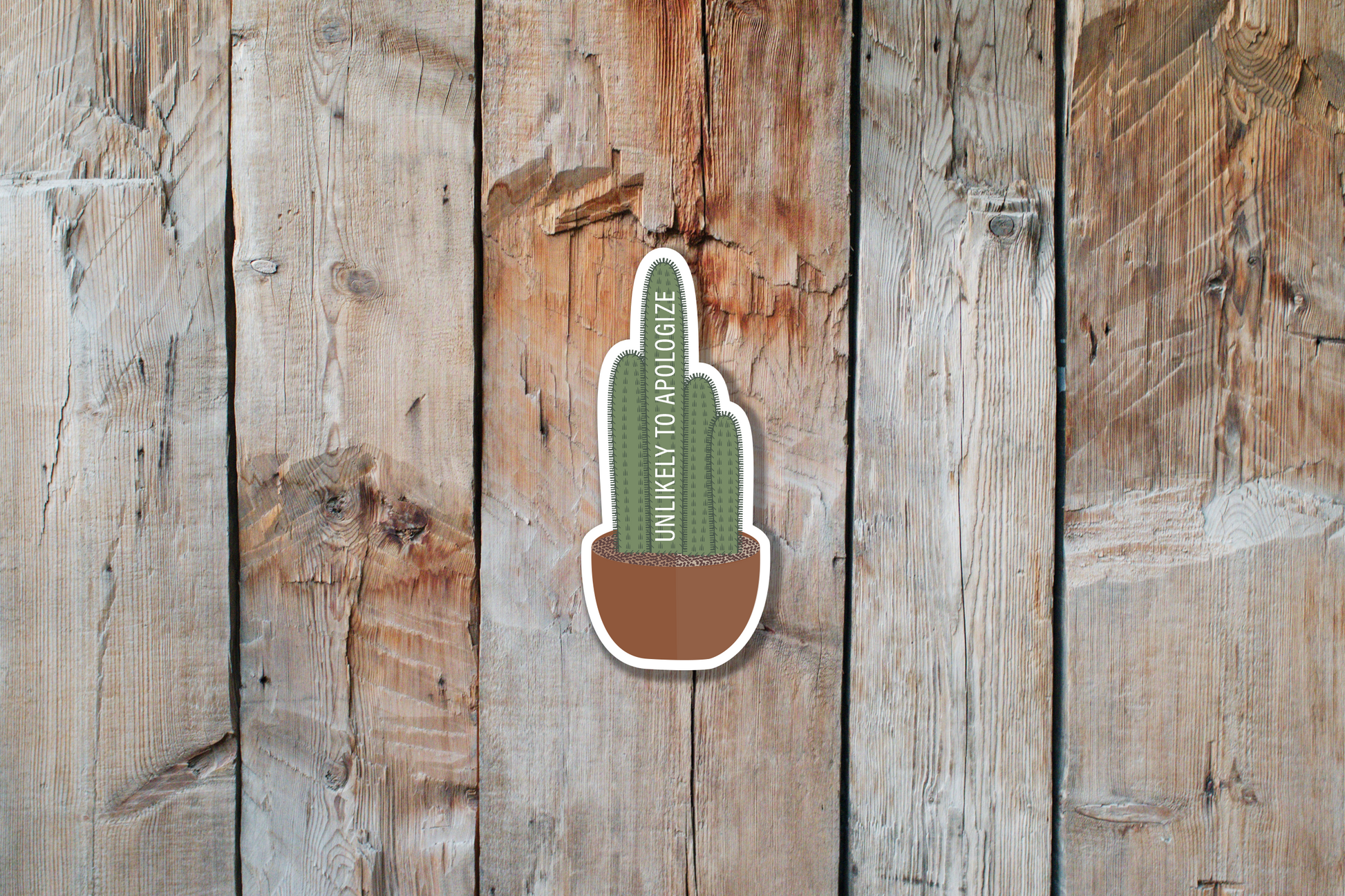 Unlikely to Apologize Cactus Sticker | Cactus Sticker | Succulent Sticker | House Plant Sticker