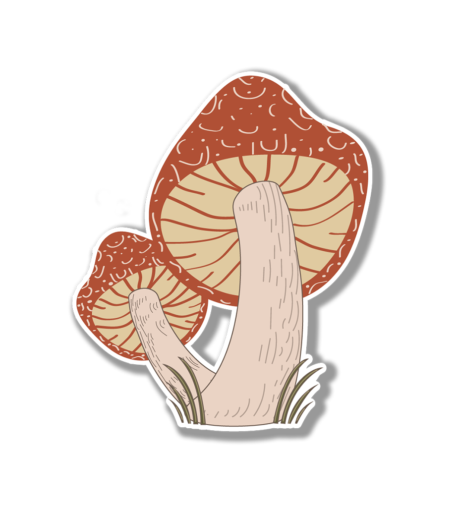 Shroom Sticker| Psychedelic Mushroom Sticker for Water Bottle |Mushroom Sticker| Mycologist Sticker for Water Bottles | Fungi Decal