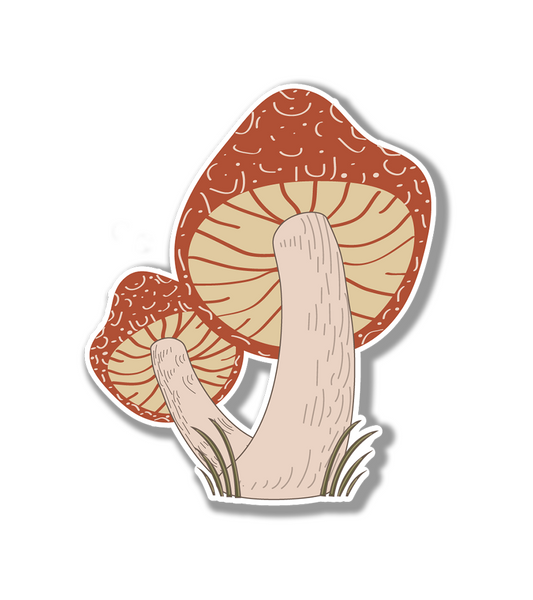 Shroom Sticker| Psychedelic Mushroom Sticker for Water Bottle |Mushroom  Sticker| Mycologist Sticker for Water Bottles |  Fungi Decal