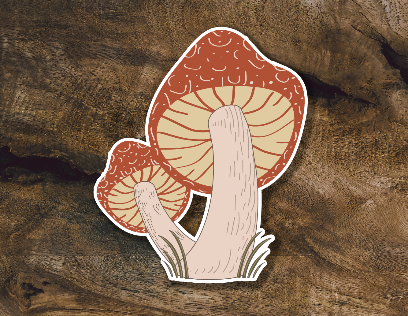 Shroom Sticker| Psychedelic Mushroom Sticker for Water Bottle |Mushroom Sticker| Mycologist Sticker for Water Bottles | Fungi Decal
