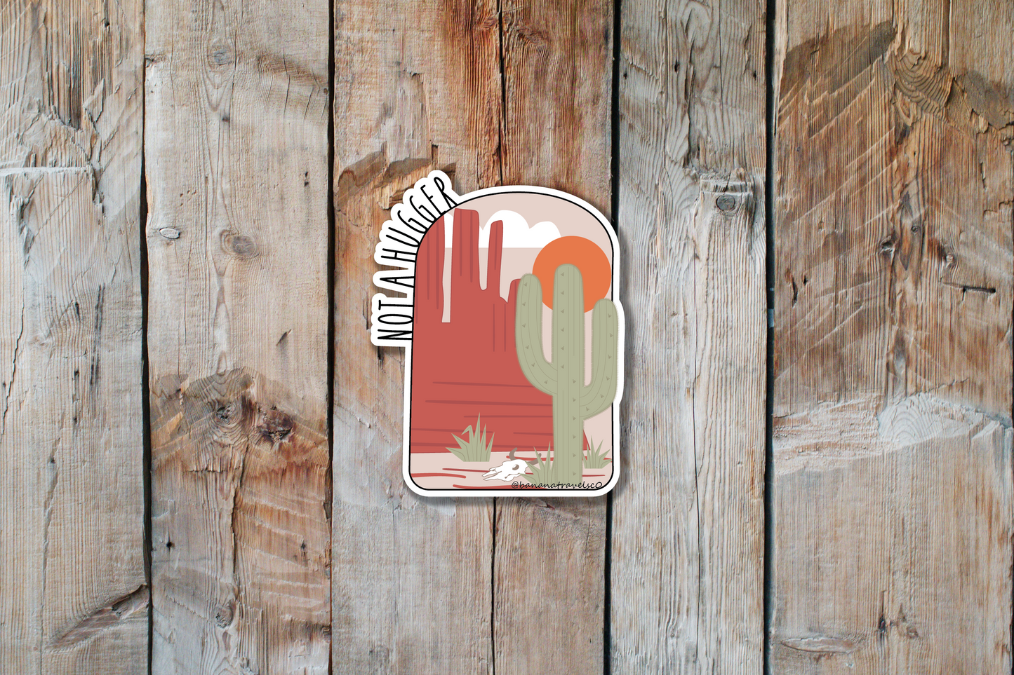 Not a Hugger Sticker | Not a Hugger Cactus Sticker | Desert Sticker 