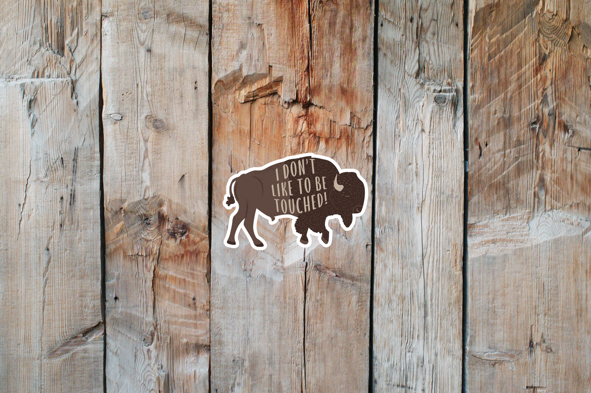 Bison Sticker | I don't like to be touched Bison Sticker | I don't like to be touched Buffalo Sticker 