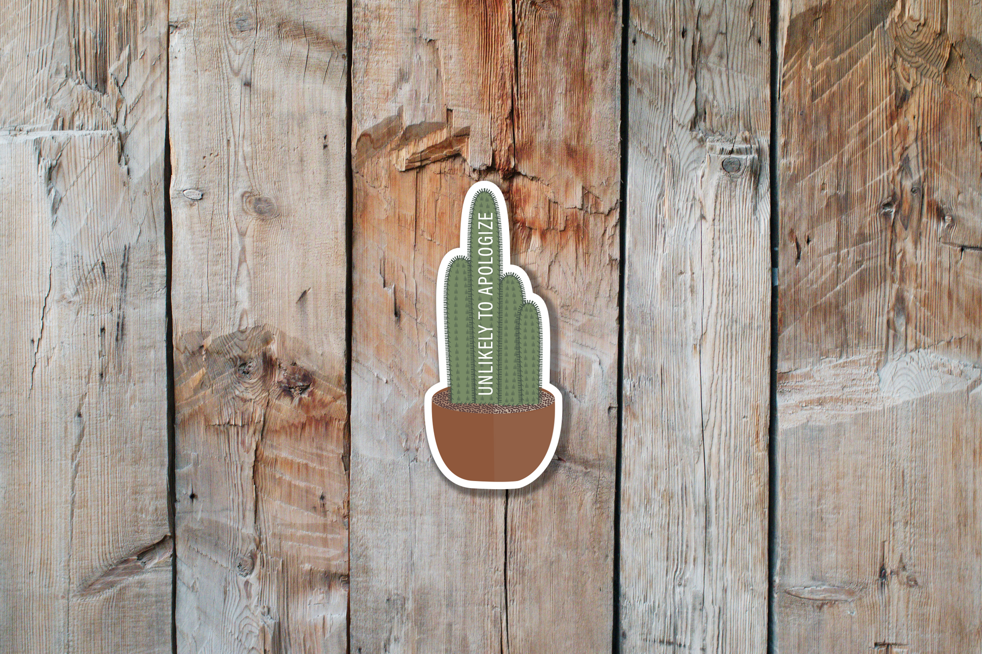 Unlikely to Apologize Cactus Sticker | Cactus Sticker | Succulent Sticker | House Plant Sticker 