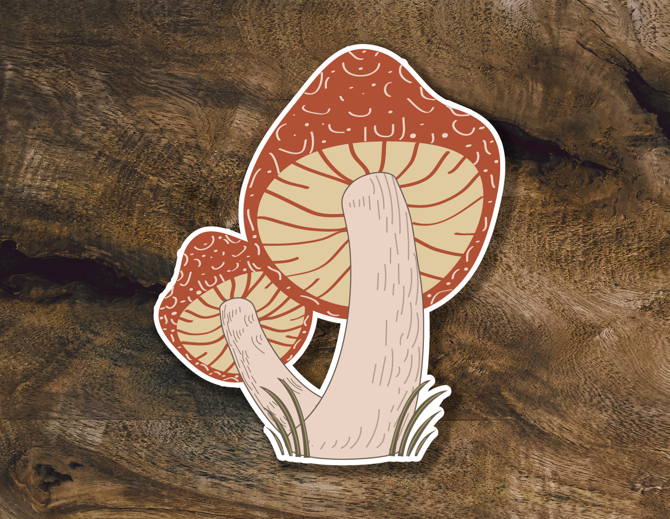 Shroom Sticker| Psychedelic Mushroom Sticker for Water Bottle |Mushroom  Sticker| Mycologist Sticker for Water Bottles |  Fungi Decal